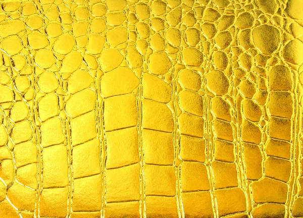 Crocodile golden leather — Stock Photo, Image