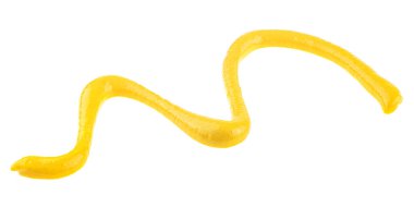 Sarı hardal sosu beyaz arka planda izole edilmiş, üst manzara. Taze ballı hardal..