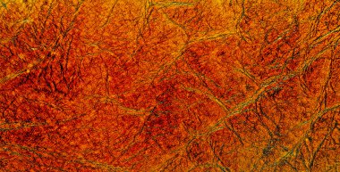 arkaplan olarak kahverengi deri dokusu