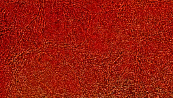 Texture de cuir rouge comme fond — Photo