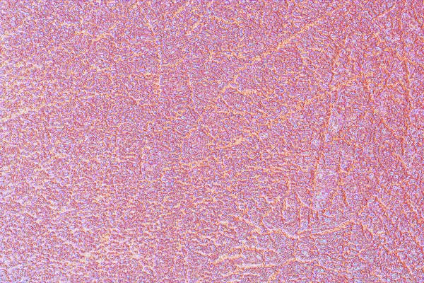Abstrakt läder rosa bakgrund — Stockfoto