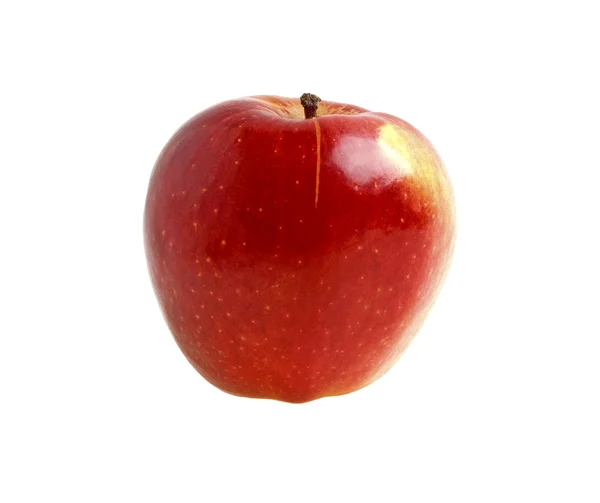 Manzana roja aislada sobre un fondo blanco —  Fotos de Stock