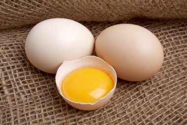 çuval bezi zemin üzerine yumurta