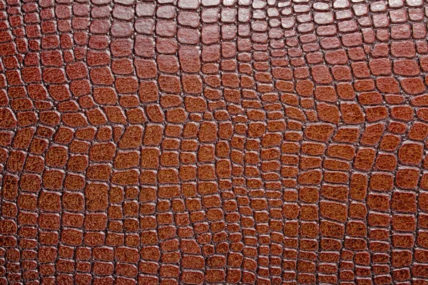 Aligator brązowy wzorzyste tło — Zdjęcie stockowe