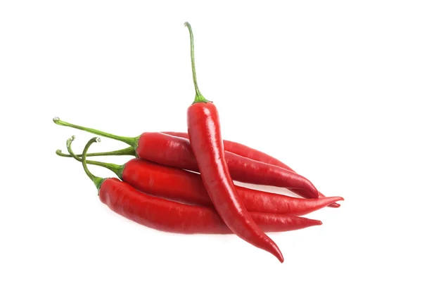 Red hot chili pepper isolated on a white background — Stock Photo, Image