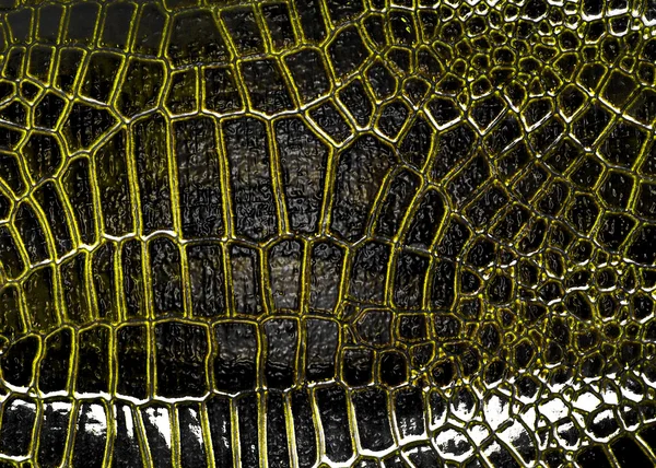 Tessitura in pelle di alligatore scuro, può utilizzare come sfondo — Foto Stock