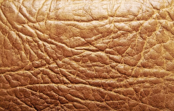 Texture in pelle marrone, sfondo — Foto Stock