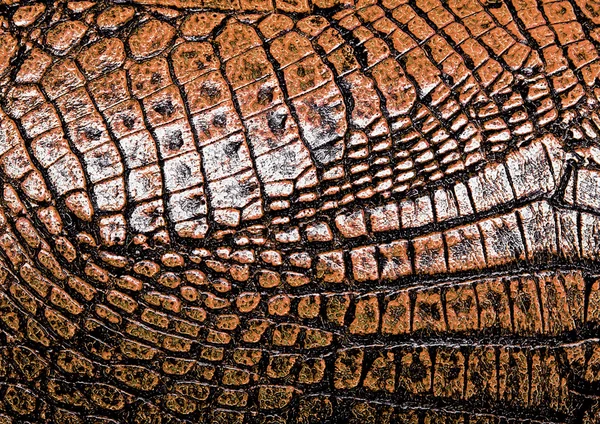 Brown jacaré modelado fundo — Fotografia de Stock