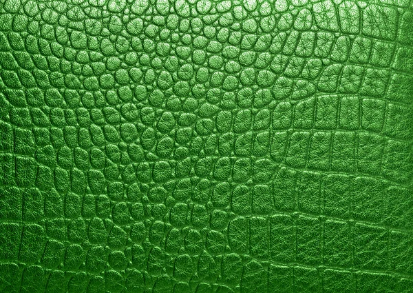 Green alligator patterned background — Stock Photo, Image