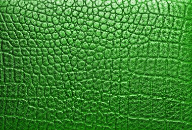 Yeşil timsah derisi, arka plan olarak kullanabilirsiniz 