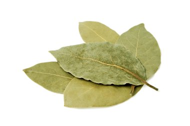 beyaz zemin üzerinde izole defne yaprakları