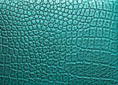 timsah derisi, arka plan olarak kullanabilirsiniz 