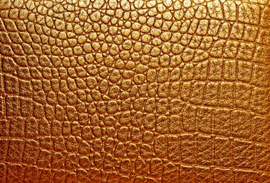 timsah derisi, arka plan olarak kullanabilirsiniz 