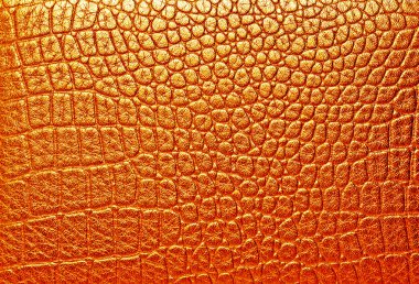 timsah derisi, arka plan olarak kullanabilirsiniz 