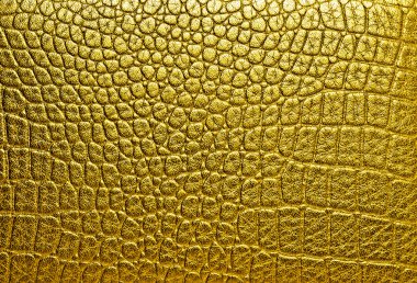 Altın timsah desenli arka plan