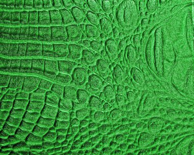 Yeşil timsah derisi, arka plan olarak kullanabilirsiniz