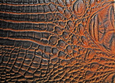 kahverengi timsah desenli arka plan