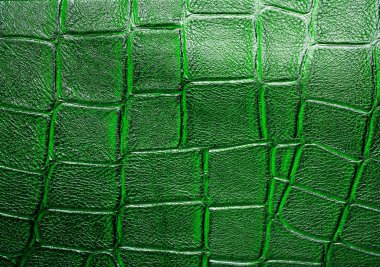 Yeşil timsah desenli arka plan