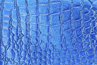 Mavi timsah desenli arka plan