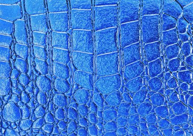 Mavi timsah desenli arka plan