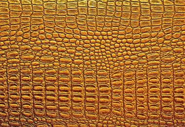 Timsah derisi doku arkaplanı