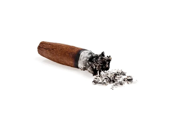 Cigare brun brûlé sur fond blanc — Photo