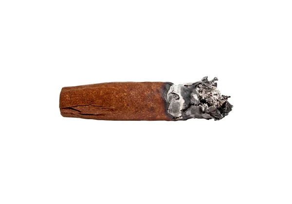 Brun cigar brændt på hvid baggrund - Stock-foto