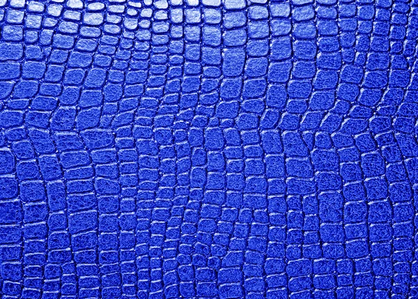 Alligator bleu fond à motifs — Photo