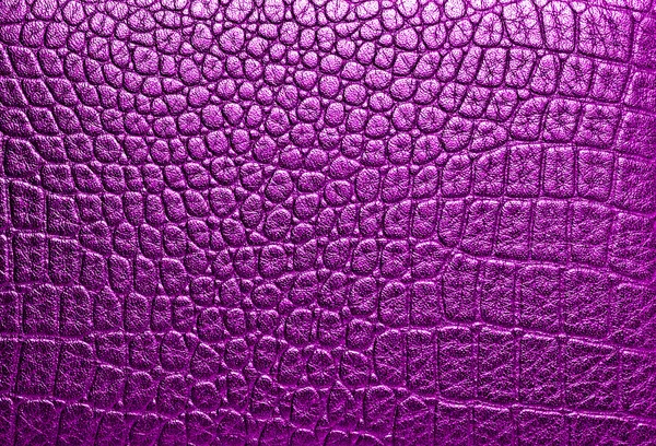 Cocodrilo cuero violeta, puede utilizar como fondo —  Fotos de Stock