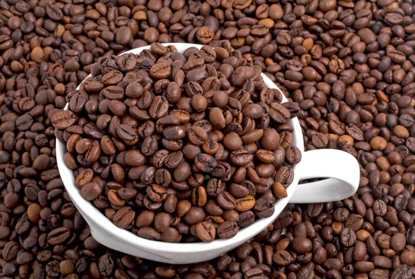 Жареные кофейные зерна и белая чашка — стоковое фото
