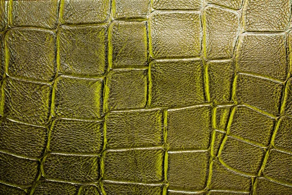 Fondo modelado cocodrilo amarillo —  Fotos de Stock