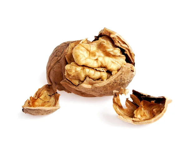 Nueces aisladas sobre fondo blanco — Foto de Stock