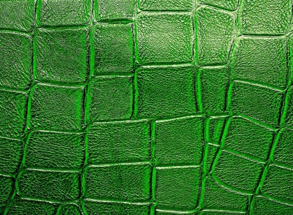 Textura da pele de jacaré verde para fundo — Fotografia de Stock