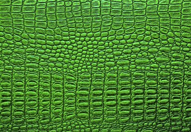 Timsah derisi doku arkaplanı