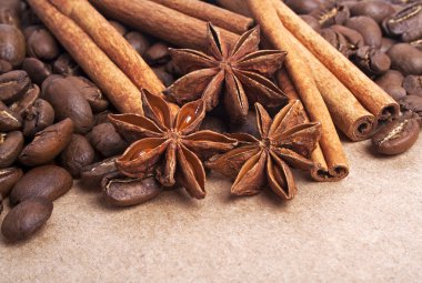Anason, kahve çekirdekleri ve tarçın