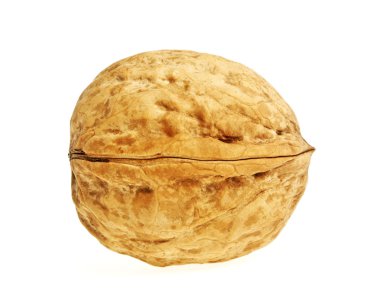 Tek ceviz beyaz arkaplanda izole edilmiş.