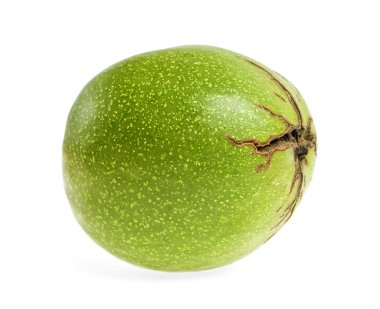 Green walnut on a white background