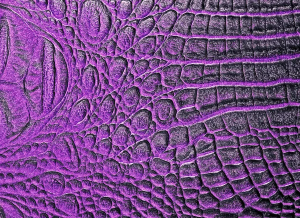 Viola alligatore fantasia sfondo — Foto Stock