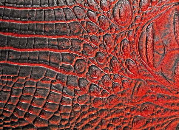 Red alligator patterned background — Stock Photo, Image