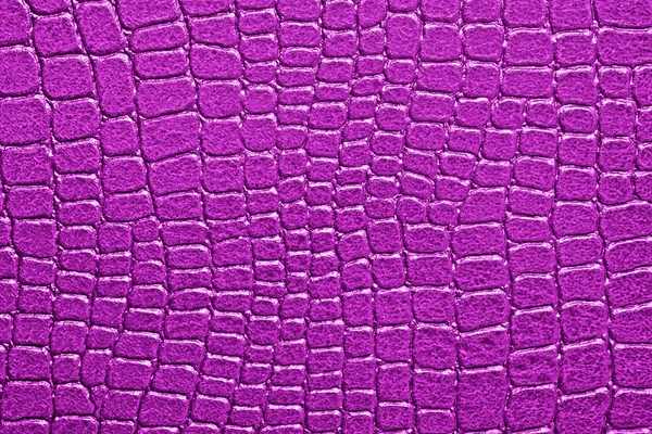 Violette Alligator gemusterten Hintergrund — Stockfoto