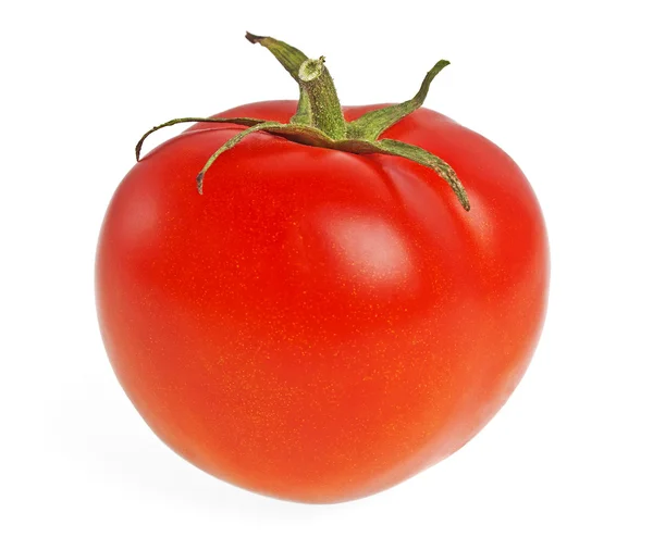 Red tomato on a white background — Stock Photo, Image