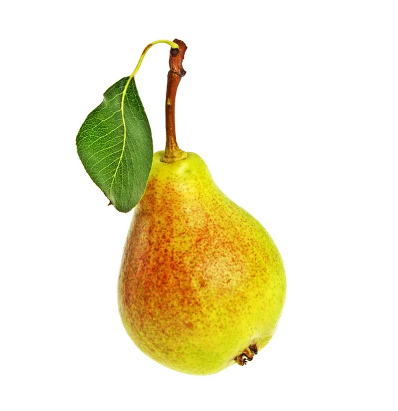 Pear isolated on a white background — Stock Photo, Image