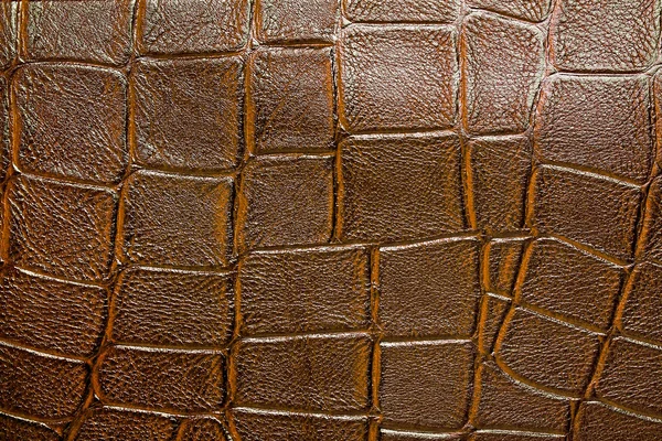 Brown alligator patterned background — Stock Photo, Image