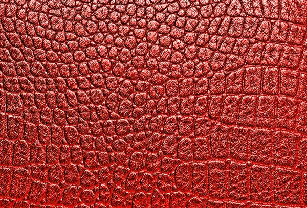 Fundo textura de couro de crocodilo — Fotografia de Stock