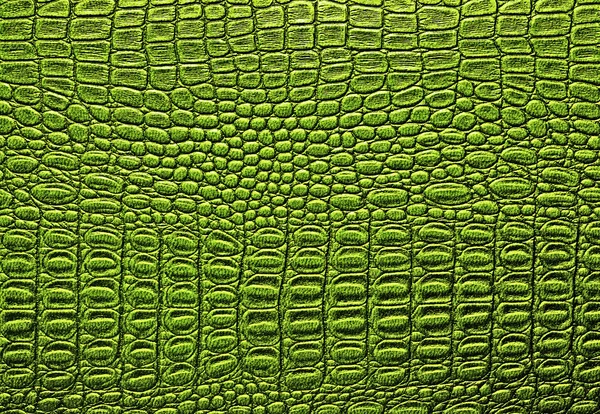 Krokodilleder Textur Hintergrund — Stockfoto