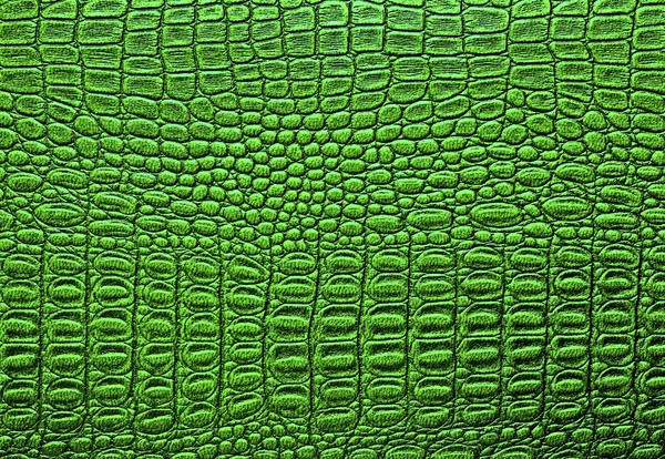 Crocodile leather texture background — Stock Photo, Image