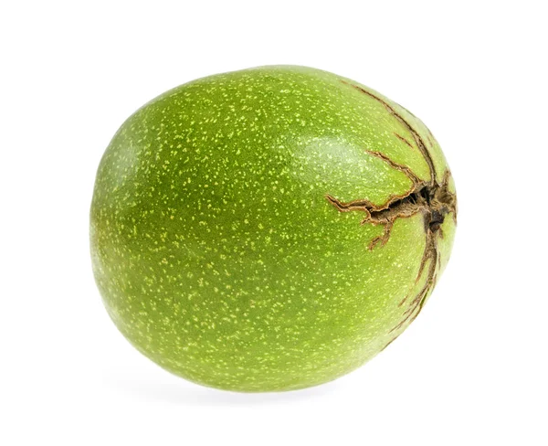 Green walnut on a white background — Stok fotoğraf