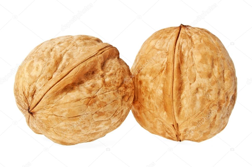 Two walnuts on a white background