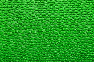 Yılan derisi doku deri, arka plan olarak kullanılabilir