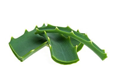 Aloe beyaz arkaplanda izole edildi